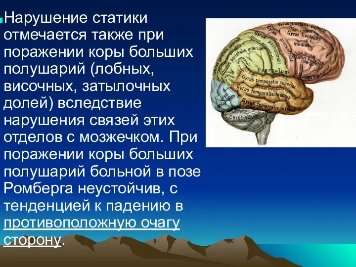 Нарушение статики отмечается также при поражении коры больших полушарий (лобных, височных,