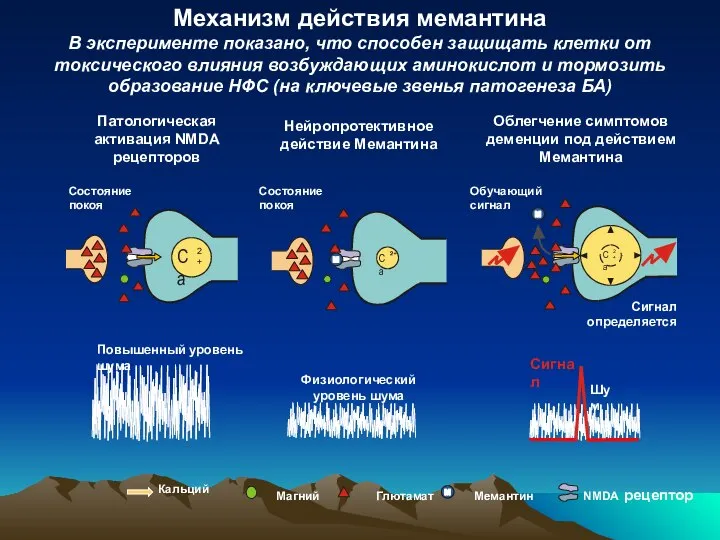 Магний Глютамат Мемантин NMDA рецептор Механизм действия мемантина В эксперименте показано,