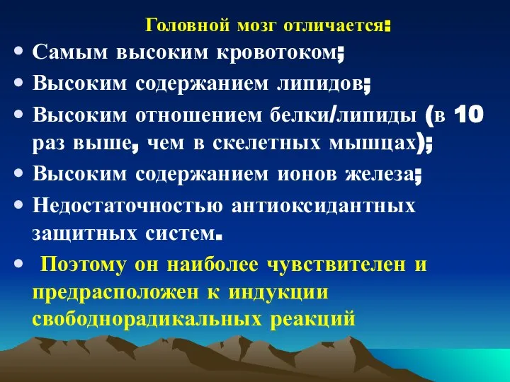 Головной мозг отличается: Самым высоким кровотоком; Высоким содержанием липидов; Высоким отношением