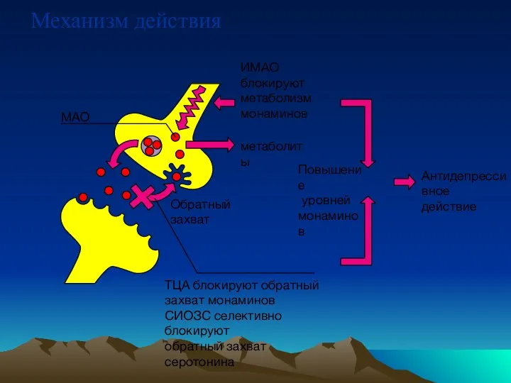 Механизм действия метаболиты Обратный захват ИМАО блокируют метаболизм монаминов Повышение уровней