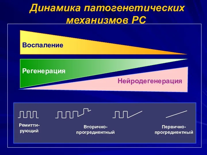 Динамика патогенетических механизмов РС