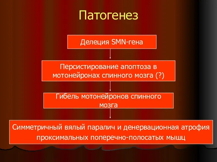 Патогенез Делеция SMN-гена Персистирование апоптоза в мотонейронах спинного мозга (?) Гибель