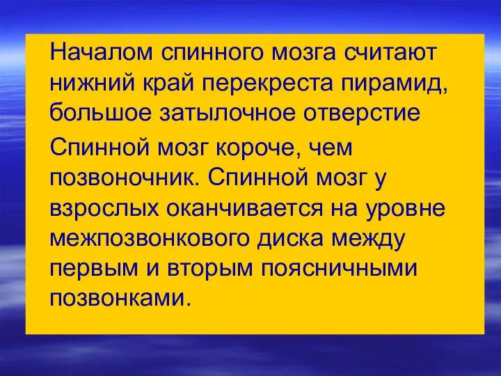 Началом спинного мозга считают нижний край перекреста пирамид, большое затылочное отверстие