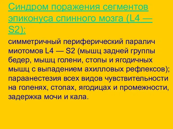 Синдром поражения сегментов эпиконуса спинного мозга (L4 — S2): симметричный периферический