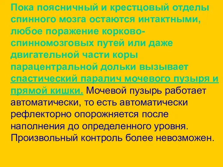 Пока поясничный и крестцовый отделы спинного мозга остаются интактными, любое поражение