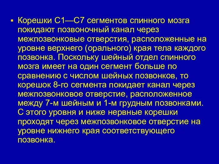 Корешки С1—С7 сегментов спинного мозга покидают позвоночный канал через межпозвонковые отверстия,