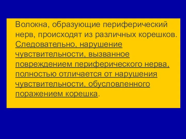 Волокна, образующие периферический нерв, происходят из различных корешков. Следовательно, нарушение чувствительности,