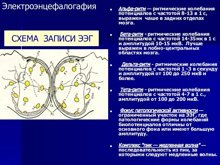 СХЕМА ЗАПИСИ ЭЭГ Альфа-ритм — ритмические колебания потенциалов с частотой 8-13