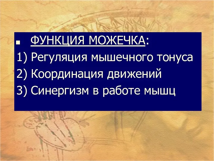 ФУНКЦИЯ МОЖЕЧКА: 1) Регуляция мышечного тонуса 2) Координация движений 3) Синергизм в работе мышц