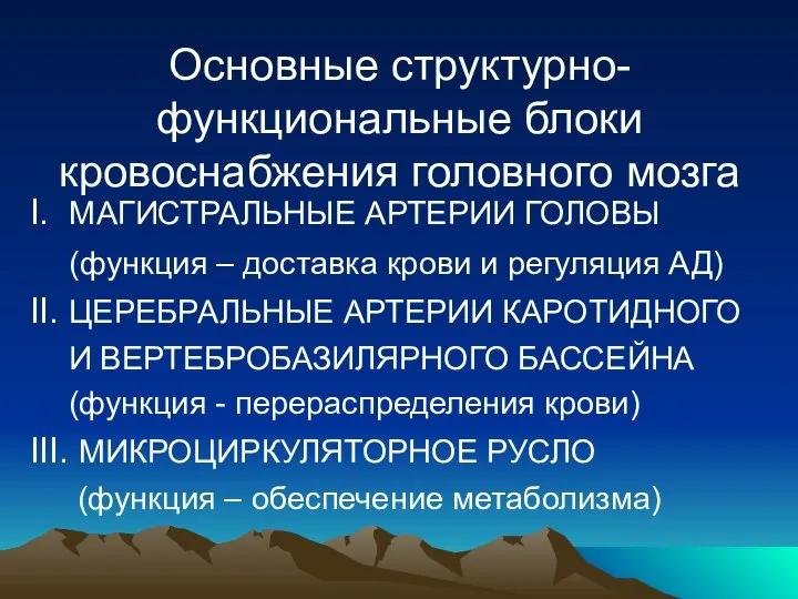 Основные структурно-функциональные блоки кровоснабжения головного мозга I. МАГИСТРАЛЬНЫЕ АРТЕРИИ ГОЛОВЫ (функция