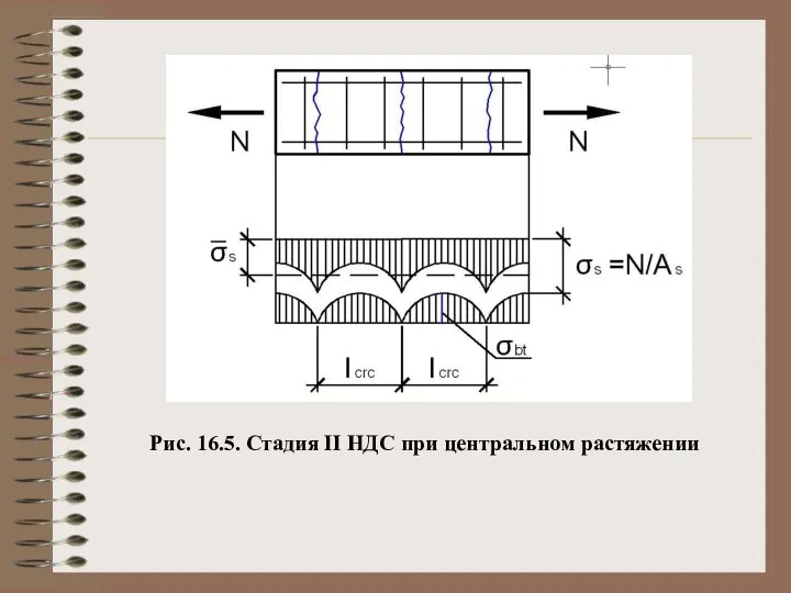 Рис. 16.5. Стадия II НДС при центральном растяжении