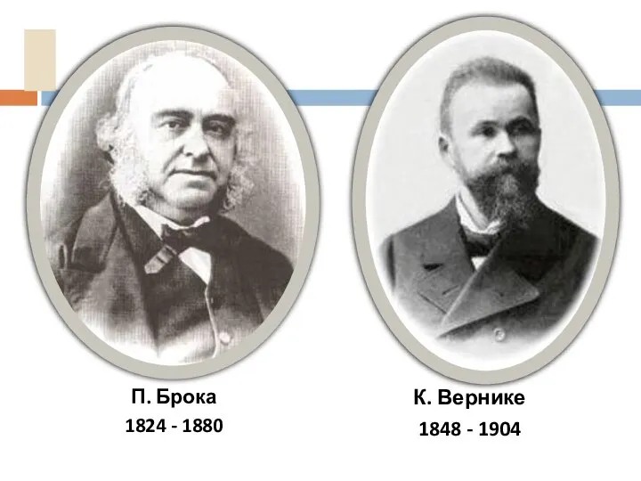 П. Брока 1824 - 1880 К. Вернике 1848 - 1904