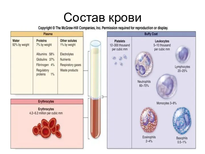 Состав крови