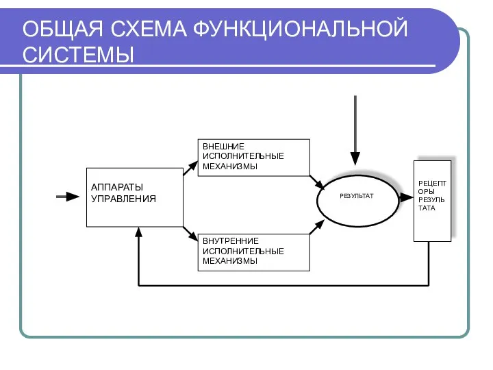 ОБЩАЯ СХЕМА ФУНКЦИОНАЛЬНОЙ СИСТЕМЫ