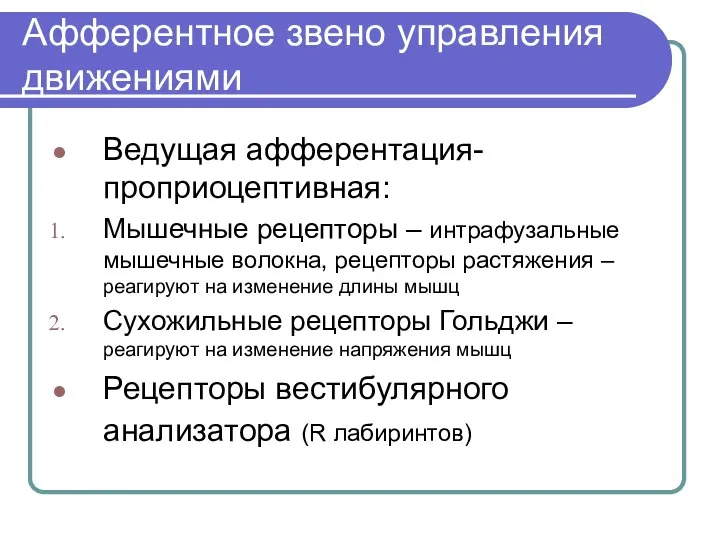 Афферентное звено управления движениями Ведущая афферентация- проприоцептивная: Мышечные рецепторы – интрафузальные