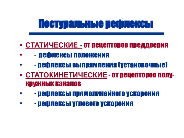 Постуральные рефлексы СТАТИЧЕСКИЕ - от рецепторов преддверия - рефлексы положения -