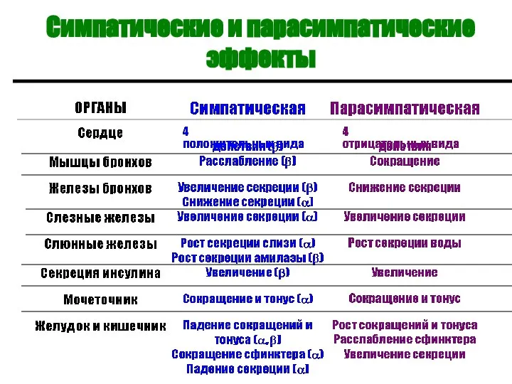 Симпатические и парасимпатические эффекты