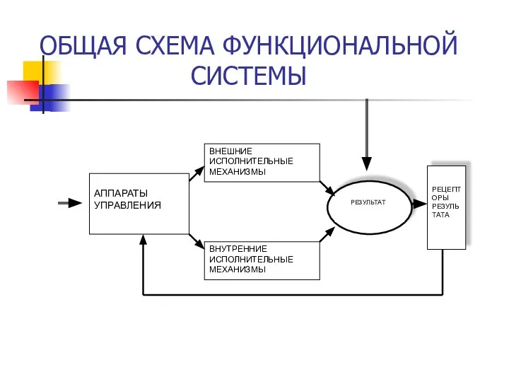 ОБЩАЯ СХЕМА ФУНКЦИОНАЛЬНОЙ СИСТЕМЫ