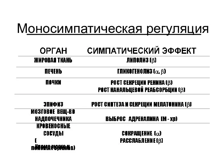 Моносимпатическая регуляция