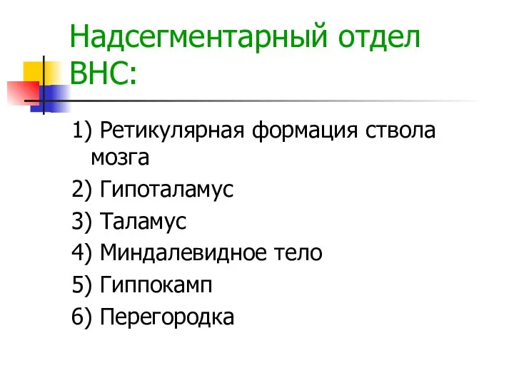 Надсегментарный отдел ВНС: 1) Ретикулярная формация ствола мозга 2) Гипоталамус 3)