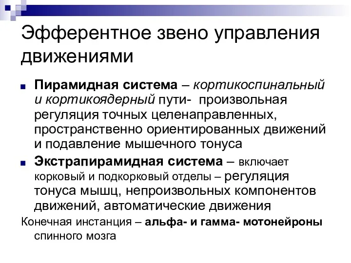 Эфферентное звено управления движениями Пирамидная система – кортикоспинальный и кортикоядерный пути-