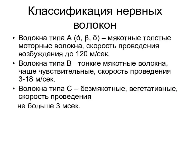 Классификация нервных волокон Волокна типа А (ά, β, δ) – мякотные