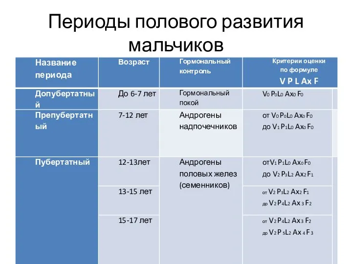 Периоды полового развития мальчиков