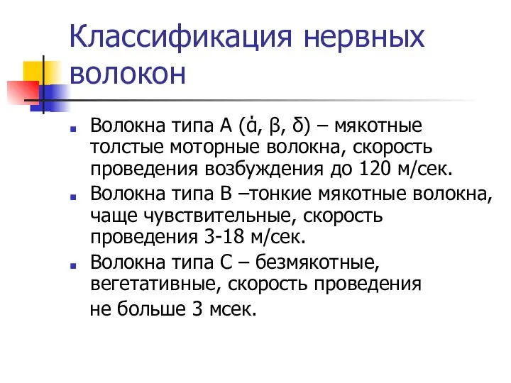 Классификация нервных волокон Волокна типа А (ά, β, δ) – мякотные