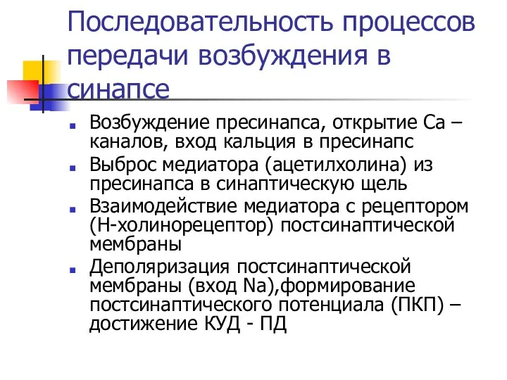 Последовательность процессов передачи возбуждения в синапсе Возбуждение пресинапса, открытие Са –