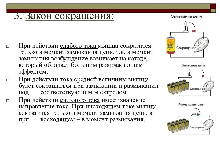 При действии слабого тока мышца сократится только в момент замыкания цепи,