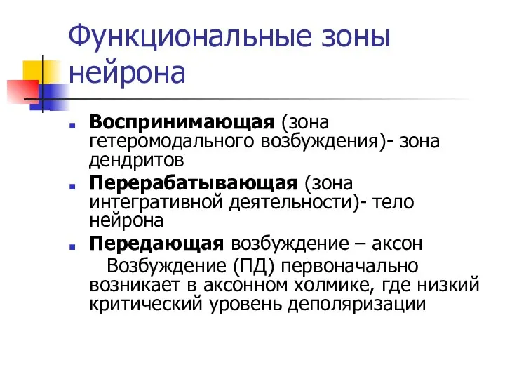 Функциональные зоны нейрона Воспринимающая (зона гетеромодального возбуждения)- зона дендритов Перерабатывающая (зона