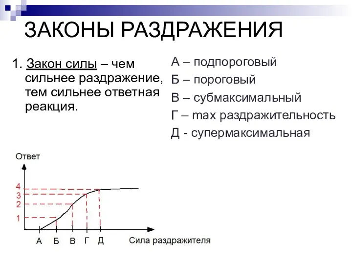 ЗАКОНЫ РАЗДРАЖЕНИЯ 1. Закон силы – чем сильнее раздражение, тем сильнее