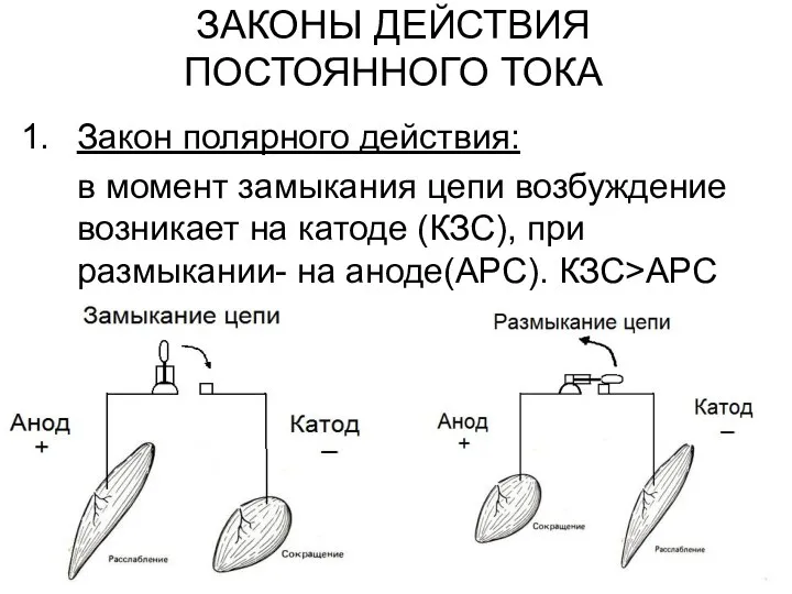 ЗАКОНЫ ДЕЙСТВИЯ ПОСТОЯННОГО ТОКА Закон полярного действия: в момент замыкания цепи