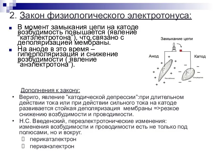 В момент замыкания цепи на катоде возбудимость повышается (явление “катэлектротона”), что