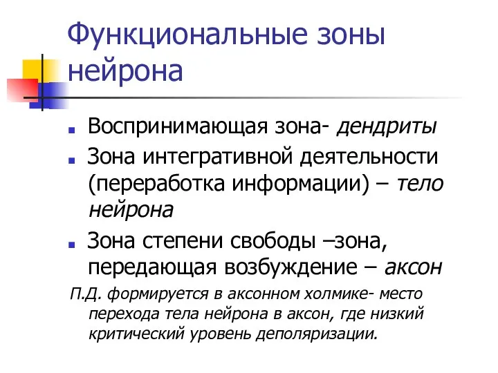 Функциональные зоны нейрона Воспринимающая зона- дендриты Зона интегративной деятельности (переработка информации)