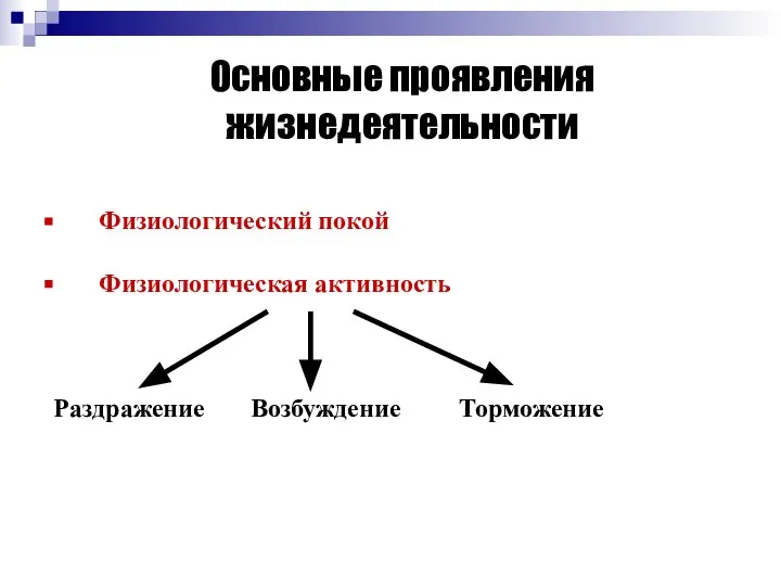 Основные проявления жизнедеятельности Физиологический покой Физиологическая активность Раздражение Возбуждение Торможение