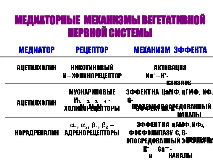 МЕДИАТОРНЫЕ МЕХАНИЗМЫ ВЕГЕТАТИВНОЙ НЕРВНОЙ СИСТЕМЫ