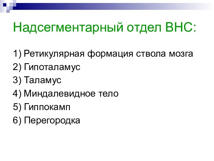 Надсегментарный отдел ВНС: 1) Ретикулярная формация ствола мозга 2) Гипоталамус 3)