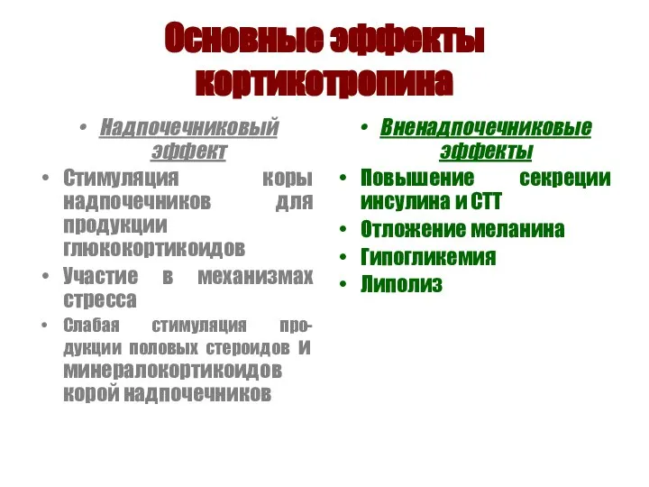 Основные эффекты кортикотропина Надпочечниковый эффект Стимуляция коры надпочечников для продукции глюкокортикоидов