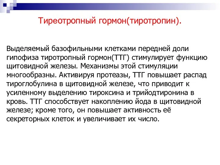 Тиреотропный гормон(тиротропин). Выделяемый базофильными клетками передней доли гипофиза тиротропный гормон(ТТГ) стимулирует