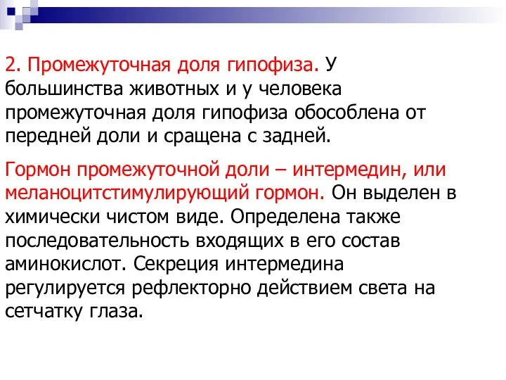 2. Промежуточная доля гипофиза. У большинства животных и у человека промежуточная