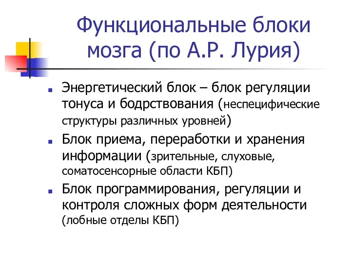 Функциональные блоки мозга (по А.Р. Лурия) Энергетический блок – блок регуляции