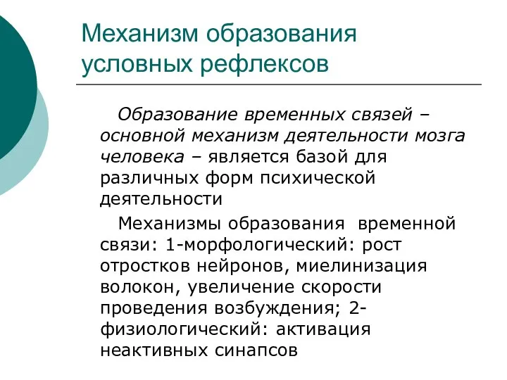 Механизм образования условных рефлексов Образование временных связей – основной механизм деятельности