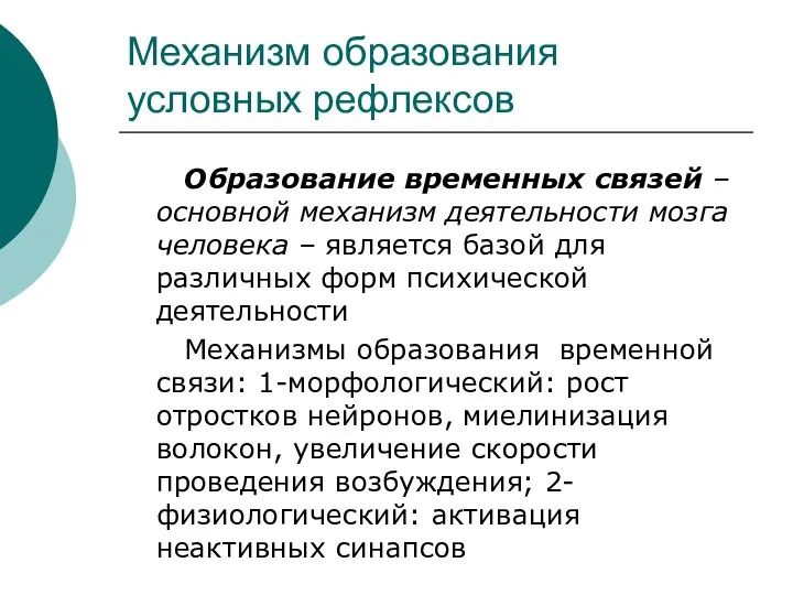 Механизм образования условных рефлексов Образование временных связей – основной механизм деятельности