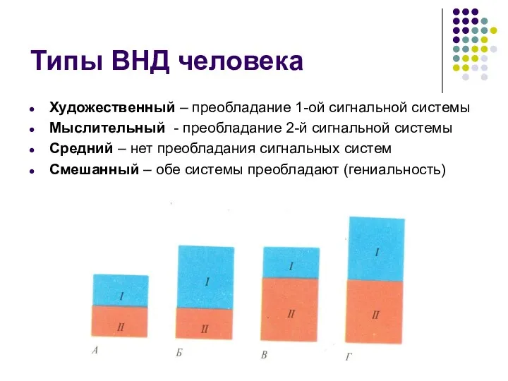 Типы ВНД человека Художественный – преобладание 1-ой сигнальной системы Мыслительный -