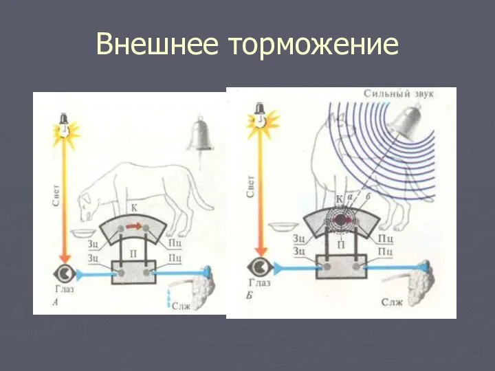 Внешнее торможение