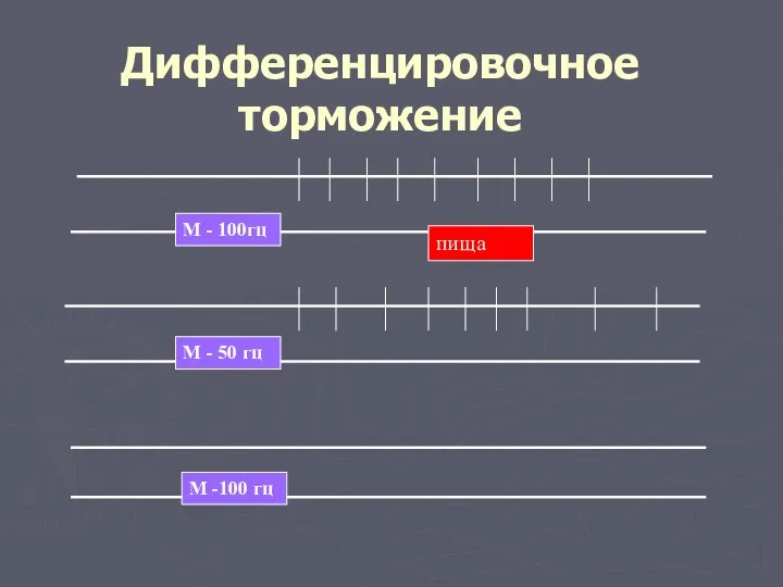 Дифференцировочное торможение