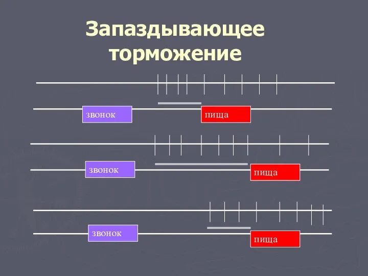 Запаздывающее торможение звонок пища пища пища звонок звонок