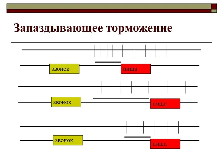 Запаздывающее торможение звонок пища пища пища звонок звонок