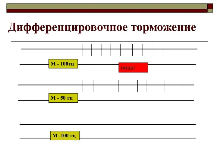 Дифференцировочное торможение